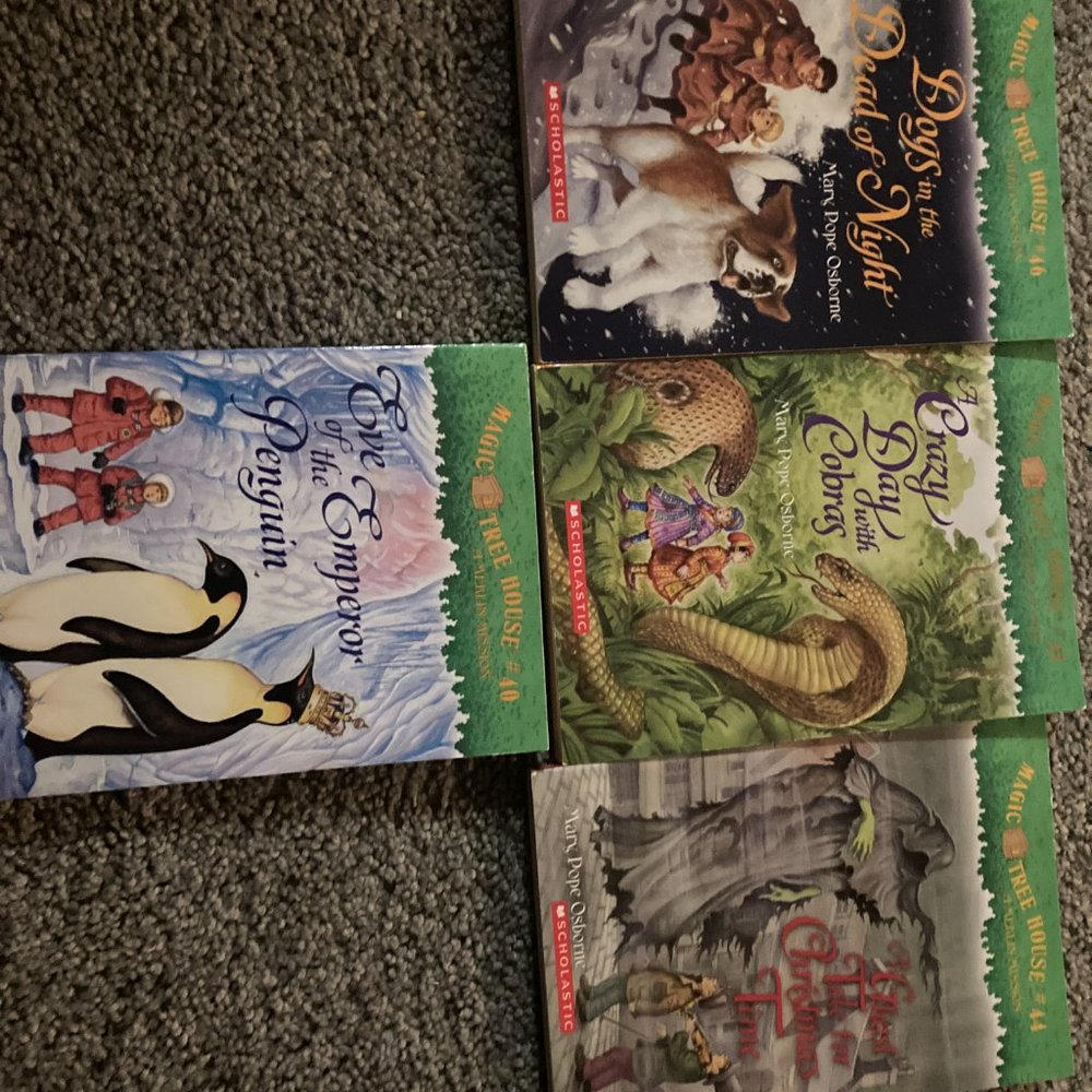 Magic Tree House Books - Picture 2 of 8